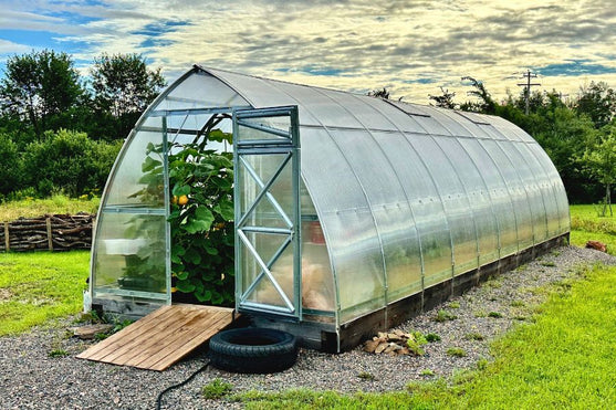 Sungrow 32 Backyard Greenhouse Kits for Sale - Heavy Duty Greenhous