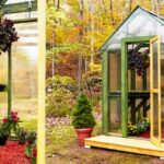 How to Build a Backyard Greenhou