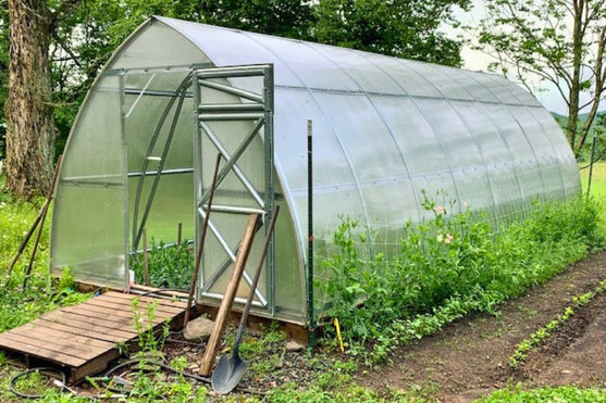 Tips for Designing and Building Your Perfect Backyard Greenhouse