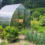 Sungrow Greenhouse Kits - DIY Backyard Greenhouse Kit for Sa