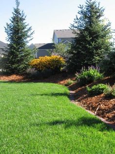 92 Best Landscaping With Trees ideas | garden landscaping .