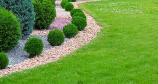 10 Cheap Backyard Ideas: No Grass Backyard Landscaping Options .