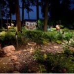 6 Backyard Landscape Lighting Ideas for Open Spac