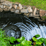 7 Ways to Make Your Backyard Pond an Oasis | Living Color Garden .