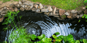 7 Ways to Make Your Backyard Pond an Oasis | Living Color Garden .