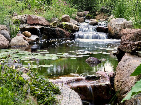 Backyard Pond Ideas That Can Make Any Size Yard More Amazing .