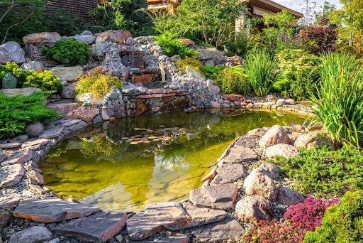 Creating a Tranquil Oasis: The Ultimate Guide to Building a Backyard Pond