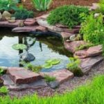 Ponds and Things: Caring for a Favourite Backyard Feature - Royal .