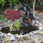 Backyard Pond and Waterfall: No Experience Necessary! : 9 Steps .