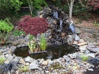 Backyard Pond and Waterfall: No Experience Necessary! : 9 Steps .