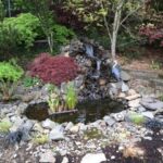 Backyard Pond and Waterfall: No Experience Necessary! : 9 Steps .