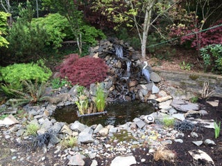 Backyard Pond and Waterfall: No Experience Necessary! : 9 Steps .