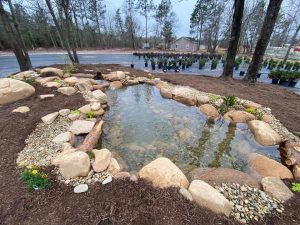 Landscaper vs. Pond Builder - Amen Corner Pon