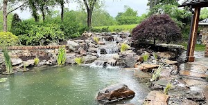 Expert Pond Contractor in Charlotte: Transform Your Backya