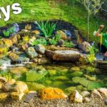 World's Most Beautiful Backyard Ponds - YouTu