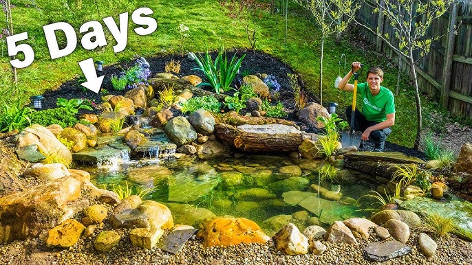 World's Most Beautiful Backyard Ponds - YouTu