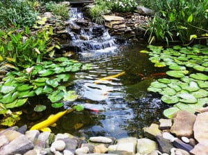 Backyard Ponds And Pondless Waterfalls In John's Creek | Universal .