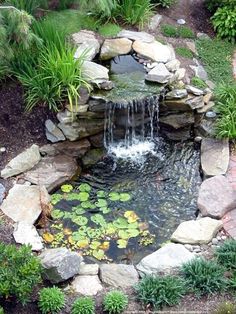 76 Garden pond landscape ideas | pond landscaping, water garden .