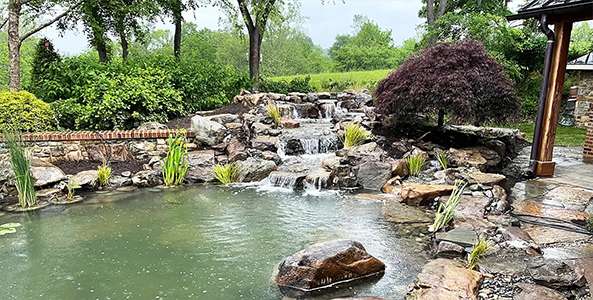 Expert Pond Contractor in Charlotte: Transform Your Backya