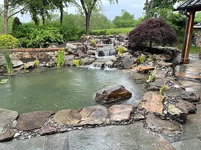 Expert Pond Contractor in Charlotte: Transform Your Backya