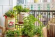 21 Balcony Garden Ideas for Beginners in Small Apartments | Garden .