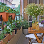 Grow a Balcony Garden Full of Veggies, Herbs, and Flowe