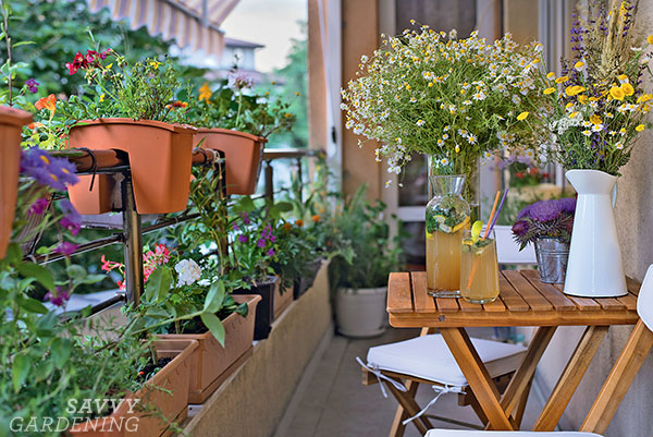 Grow a Balcony Garden Full of Veggies, Herbs, and Flowe