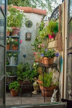 120 Best Terrace garden ideas | terrace garden, balcony decor .