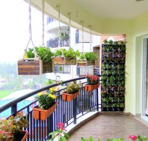 Portfolio Image | Small balcony garden, Terrace garden design .