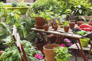 Balcony garden ideas: 15 ways to create an oasis