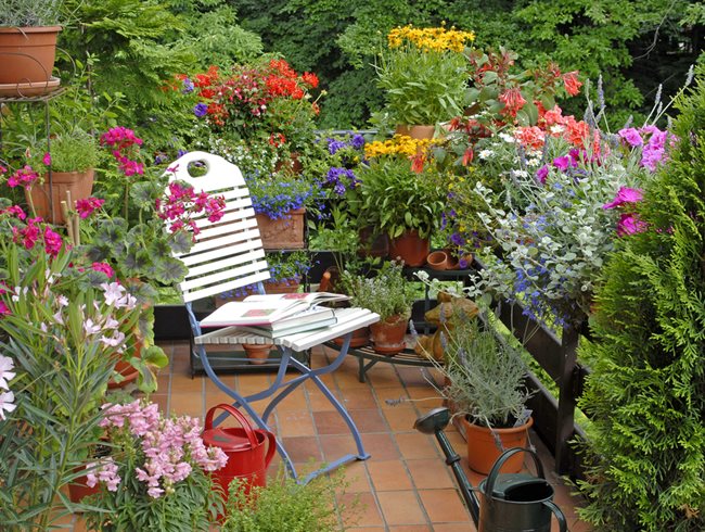 21 Balcony Garden Ideas for Beginners in Small Apartments | Garden .