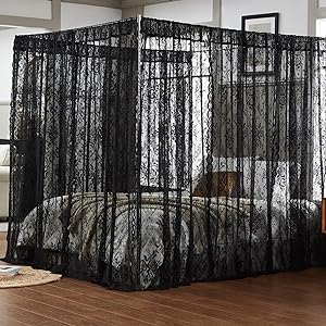 Amazon.com: Warm Home Designs Lace Canopy Bed Curtains Set .