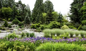 The Gardens - Bellevue Botanical Gard