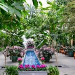 Visit the U.S. Botanic Garden | United States Botanic Gard