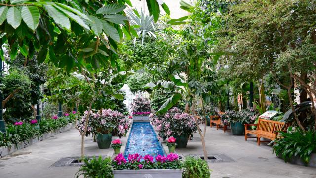 Visit the U.S. Botanic Garden | United States Botanic Gard