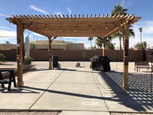 Best Wood for Pergolas: A Guide to Choose the Best Wood for a .