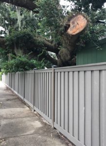 Why choose Trex Fencing over Wood Fence? – Florida State Fen