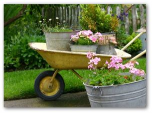 Container Vegetable Gardening Tips, Techniques, and Ide