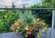 How Do You Create a Container Garden? Start Here. - The New York Tim