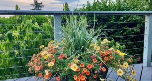 How Do You Create a Container Garden? Start Here. - The New York Tim