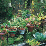 Fanciful DIY Kitchen-Garden Container Ideas - FineGardeni