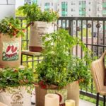 Container Vegetable Gardening Basics | Garden Desi