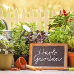 Spring into spring with container gardening - CentraCare Health .