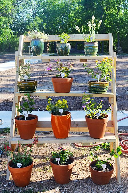 No Yard? No Problem! Tips for Container Gardening - Sustainable .