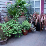 Container Gardening - Gardening Solutions - University of Florida .