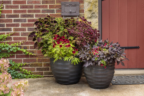 Creative Container Gardening Ideas for Small Spaces