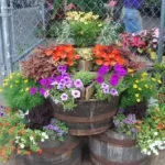 Container Gardening Tips - Meadows Farms Nurseries and Landscapi