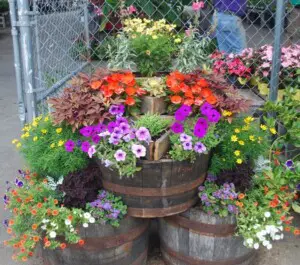 Container Gardening Tips - Meadows Farms Nurseries and Landscapi