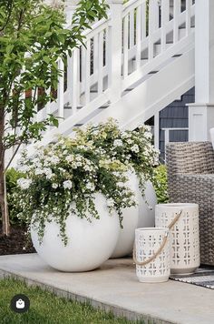 900+ Container Gardens ideas | container gardening, garden .