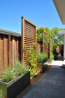 75 Contemporary Landscaping Ideas You'll Love - April, 2024 | Hou